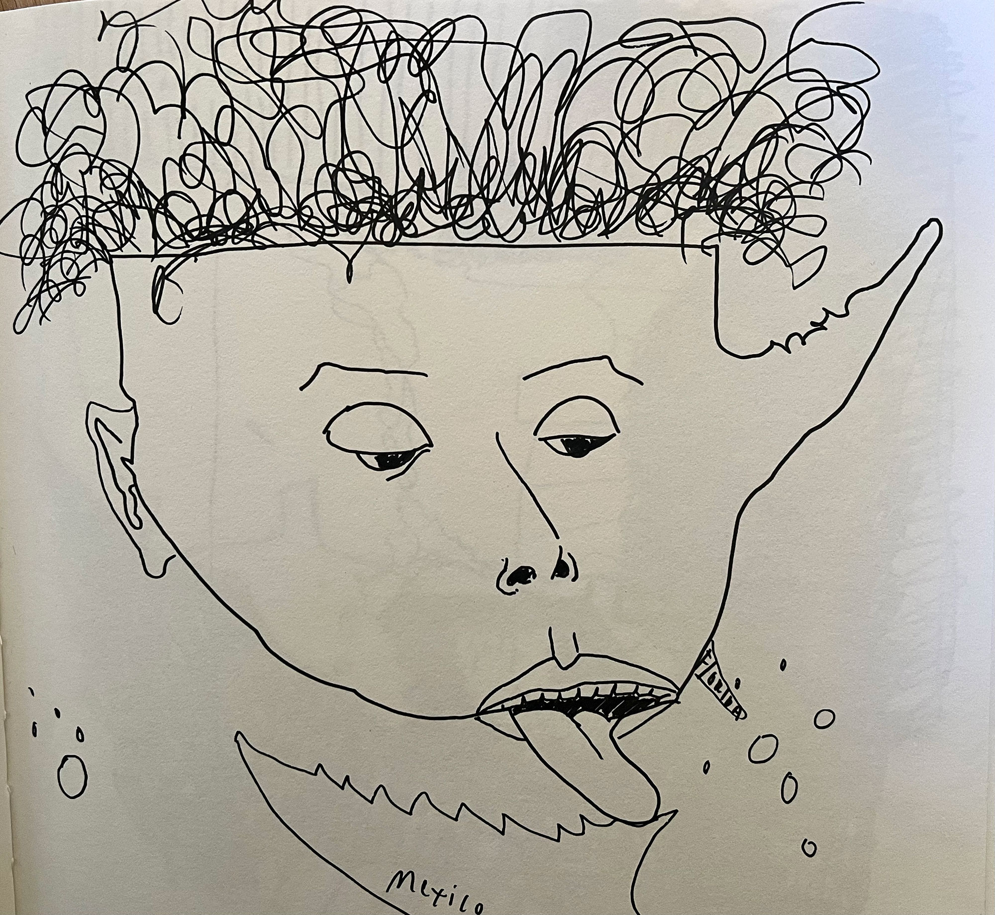 Sue Zemka, America as a Teacup